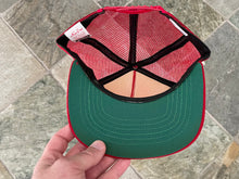 Load image into Gallery viewer, Vintage San Francisco 49ers New Era Snapback Football Hat