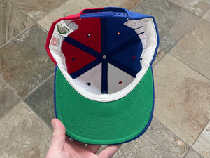 Vintage Buffalo Bills American Needle Snapback Football Hat