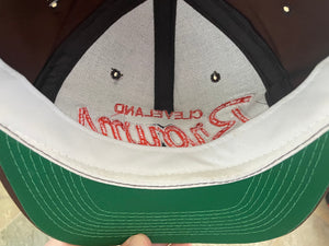 Vintage Cleveland Browns Sports Specialties Script Snapback Football Hat