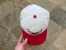 Load image into Gallery viewer, Vintage Wisconsin Badgers Snapback College Hat