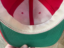 Load image into Gallery viewer, Vintage Ohio State Buckeyes Sports Specialties Script Snapback College Hat