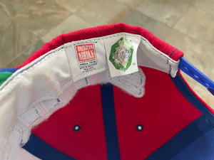 Vintage Buffalo Bills American Needle Snapback Football Hat