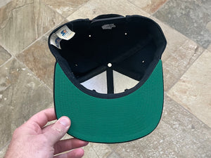 Vintage Detroit Lions Starter Snapback Football Hat