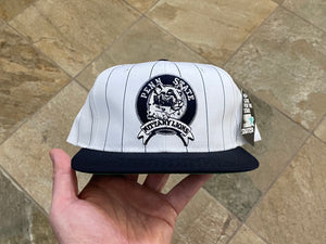 Vintage Penn State Nittany Lions Starter Pinstripe Snapback College Hat