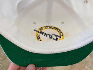 Vintage Iowa Hawkeyes The Game Circle Logo Snapback College Hat