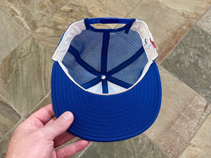 Vintage Toronto Blue Jays AJD Snapback Baseball Hat