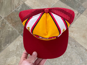 Vintage San Francisco 49ers World Champs New Era Snapback Football Hat