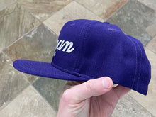 Load image into Gallery viewer, Vintage Furman Paladins Sports Specialties Script Snapback College Hat