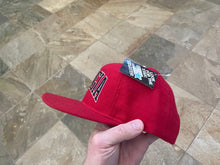 Load image into Gallery viewer, Vintage Georgia Bulldogs Starter Arch Snapback College Hat
