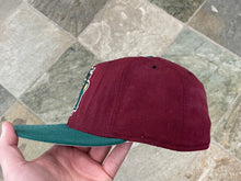 Load image into Gallery viewer, Vintage Hudson Valley Renegades MiLB New Era Fitted Pro Baseball Hat, Size 7 1/2