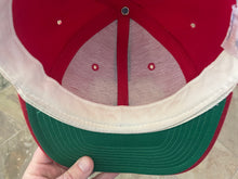 Load image into Gallery viewer, Vintage San Francisco 49ers Sports Specialties Script Snapback Football Hat