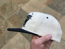 Load image into Gallery viewer, Vintage Carolina Panthers Sports Specialties Plain Logo Snapback Football Hat
