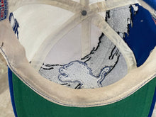 Load image into Gallery viewer, Vintage Detroit Lions Logo Athletic Splash Snapback Football Hat