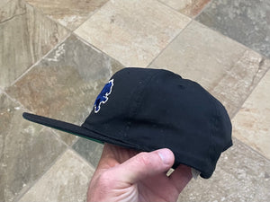 Vintage Detroit Lions Starter Snapback Football Hat