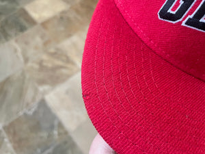 Vintage Georgia Bulldogs Starter Arch Snapback College Hat