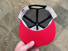 Load image into Gallery viewer, Vintage Minnesota Twins AJD Snapback Baseball Hat