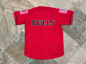 Vintage Chicago Bulls Starter Basketball Jersey, Size Large