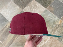 Load image into Gallery viewer, Vintage Hudson Valley Renegades MiLB New Era Fitted Pro Baseball Hat, Size 7 1/2
