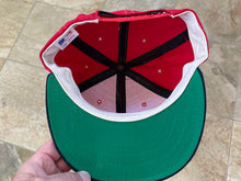 Load image into Gallery viewer, Vintage Minnesota Twins Annco Snapback Baseball Hat