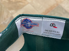 Load image into Gallery viewer, Vintage Buffalo Bisons Outdoor Cap Snapback Baseball Hat