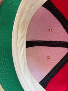 Vintage Minnesota Twins Annco Snapback Baseball Hat