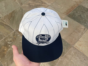Vintage Penn State Nittany Lions Starter Pinstripe Snapback College Hat