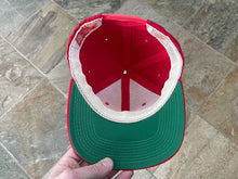 Load image into Gallery viewer, Vintage Ohio State Buckeyes Sports Specialties Script Snapback College Hat
