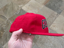 Load image into Gallery viewer, Vintage Georgia Bulldogs Starter Arch Snapback College Hat