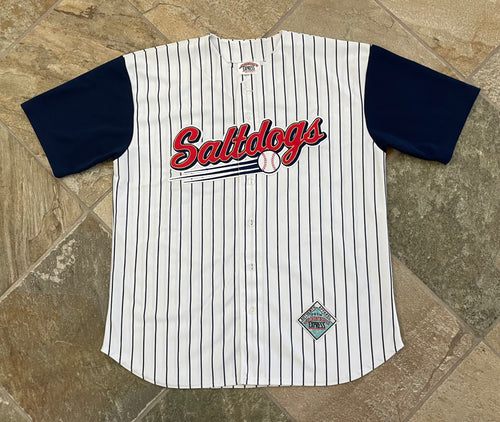 Vintage Lincoln Saltdogs Jersey Express Baseball Jersey, Size Large