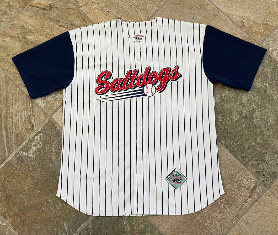 Vintage Lincoln Saltdogs Jersey Express Baseball Jersey, Size Large – Stuck  In The 90s Sports
