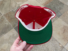 Load image into Gallery viewer, Vintage Ohio State Buckeyes Sports Specialties Script Snapback College Hat