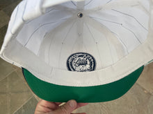 Load image into Gallery viewer, Vintage Penn State Nittany Lions Starter Pinstripe Snapback College Hat
