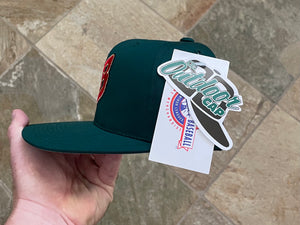 Vintage Buffalo Bisons Outdoor Cap Snapback Baseball Hat