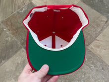 Load image into Gallery viewer, Vintage Georgia Bulldogs Starter Arch Snapback College Hat