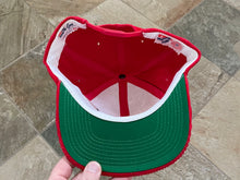 Load image into Gallery viewer, Vintage Georgia Bulldogs The Game Corduroy Snapback College Hat