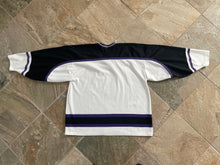 Load image into Gallery viewer, Vintage Indianapolis Ice Bauer Hockey Jersey, Size XL