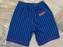 Load image into Gallery viewer, Vintage Texas Rangers Starter Pin Stripe Baseball Shorts, Size Large