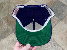 Load image into Gallery viewer, Vintage Furman Paladins Sports Specialties Script Snapback College Hat