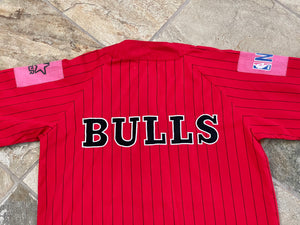 Vintage Chicago Bulls Starter Basketball Jersey, Size Large
