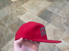 Load image into Gallery viewer, Vintage Georgia Bulldogs Starter Arch Snapback College Hat