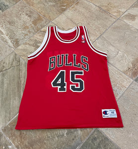 Vintage Chicago Bulls Michael Jordan #45 Champion Basketball Jersey